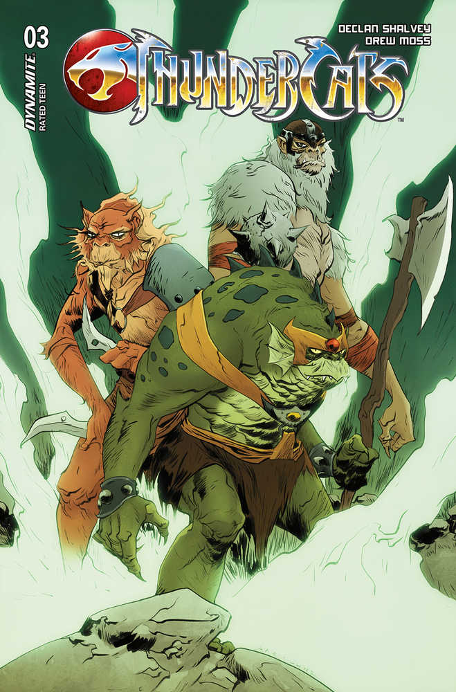 Thundercats #3 Cover D Lee & Chung | Dragon's Lair Comics and Fantasy Houston TX