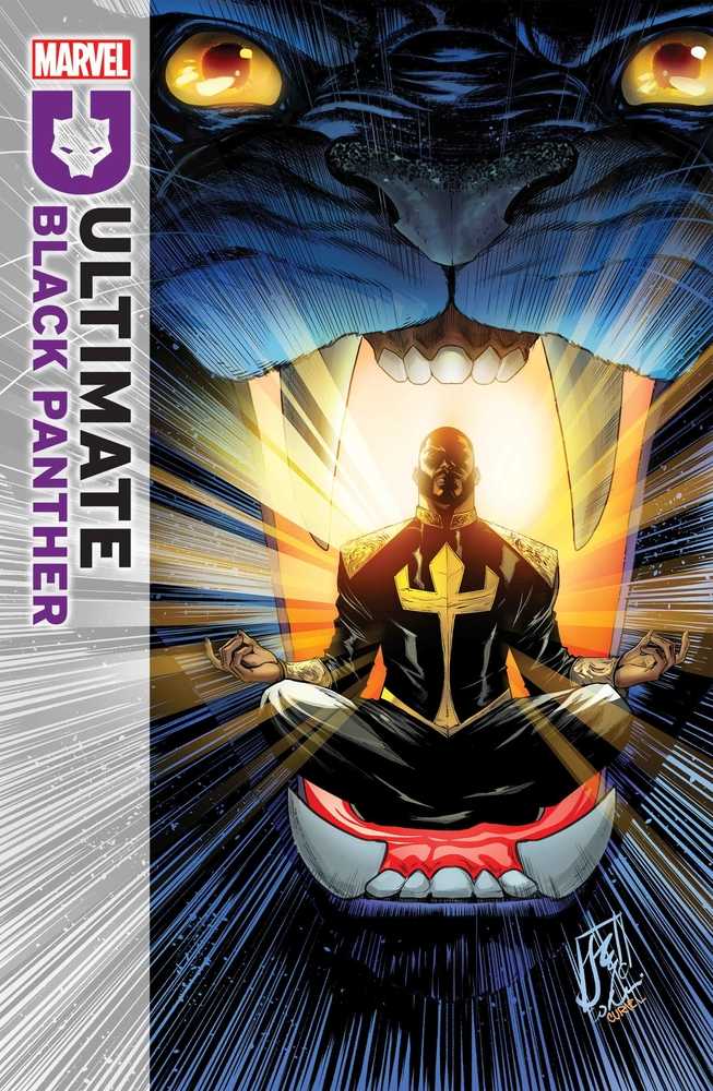 Ultimate Black Panther #6 | Dragon's Lair Comics and Fantasy Houston TX