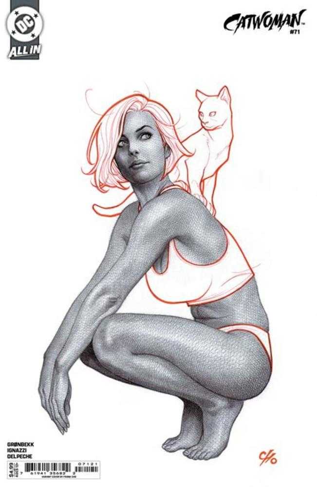 Catwoman #71 Cover B Frank Cho Card Stock Variant | Dragon's Lair Comics and Fantasy Houston TX