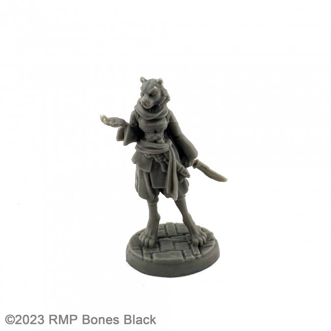 Reaper Bones Black: Rakshasa Maharani | Dragon's Lair Comics and Fantasy Houston TX