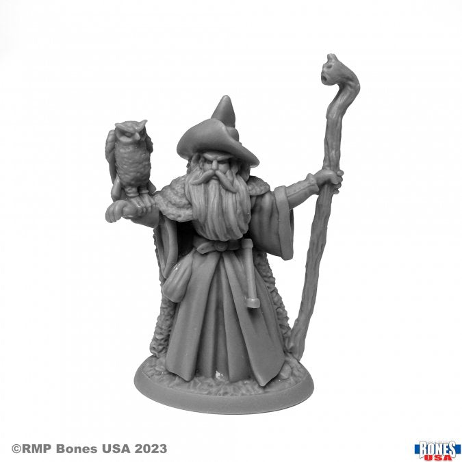 Reaper Bones: Amathor the Arch-Mage | Dragon's Lair Comics and Fantasy Houston TX