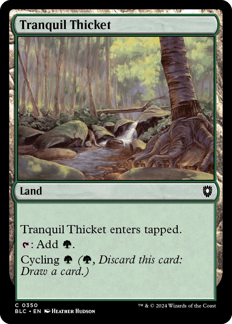 Tranquil Thicket [Bloomburrow Commander] | Dragon's Lair Comics and Fantasy Houston TX