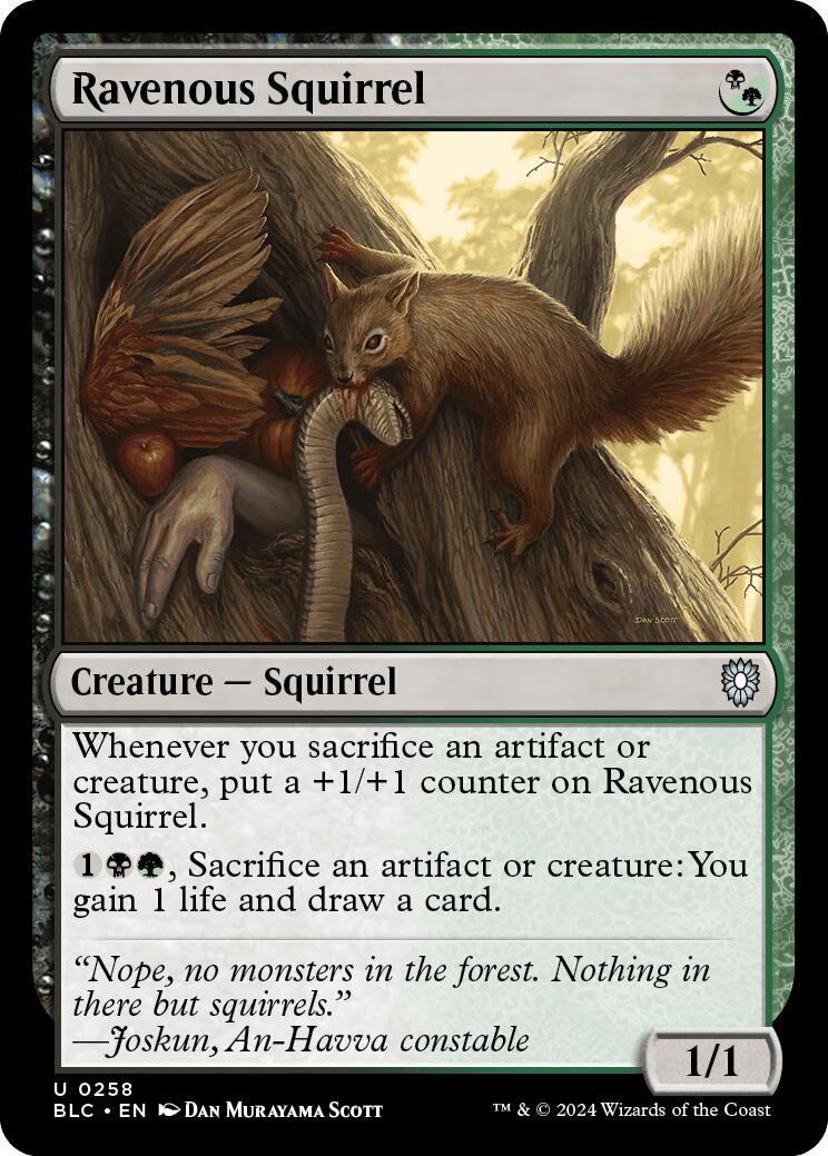 Ravenous Squirrel [Bloomburrow Commander] | Dragon's Lair Comics and Fantasy Houston TX