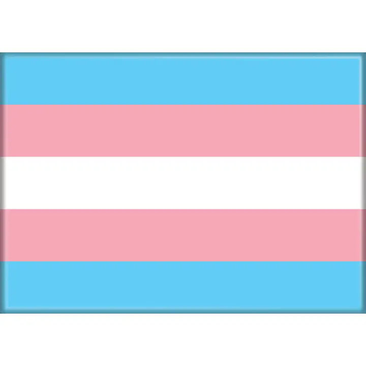 Transgender Flag Magnet | Dragon's Lair Comics and Fantasy Houston TX