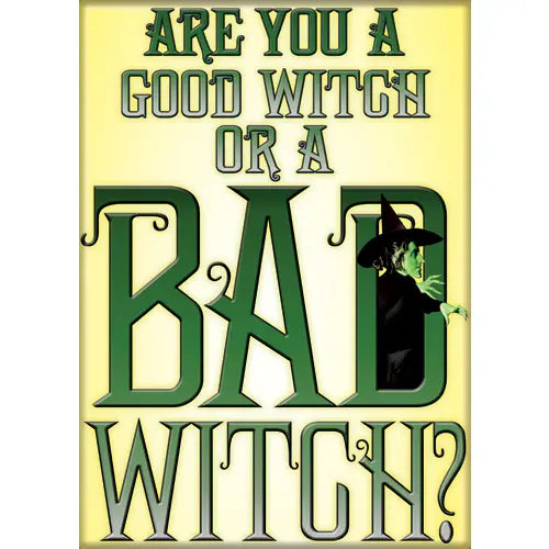 Wizard of oz Bad Witch Magnet 2.5" X 3.5" | Dragon's Lair Comics and Fantasy Houston TX