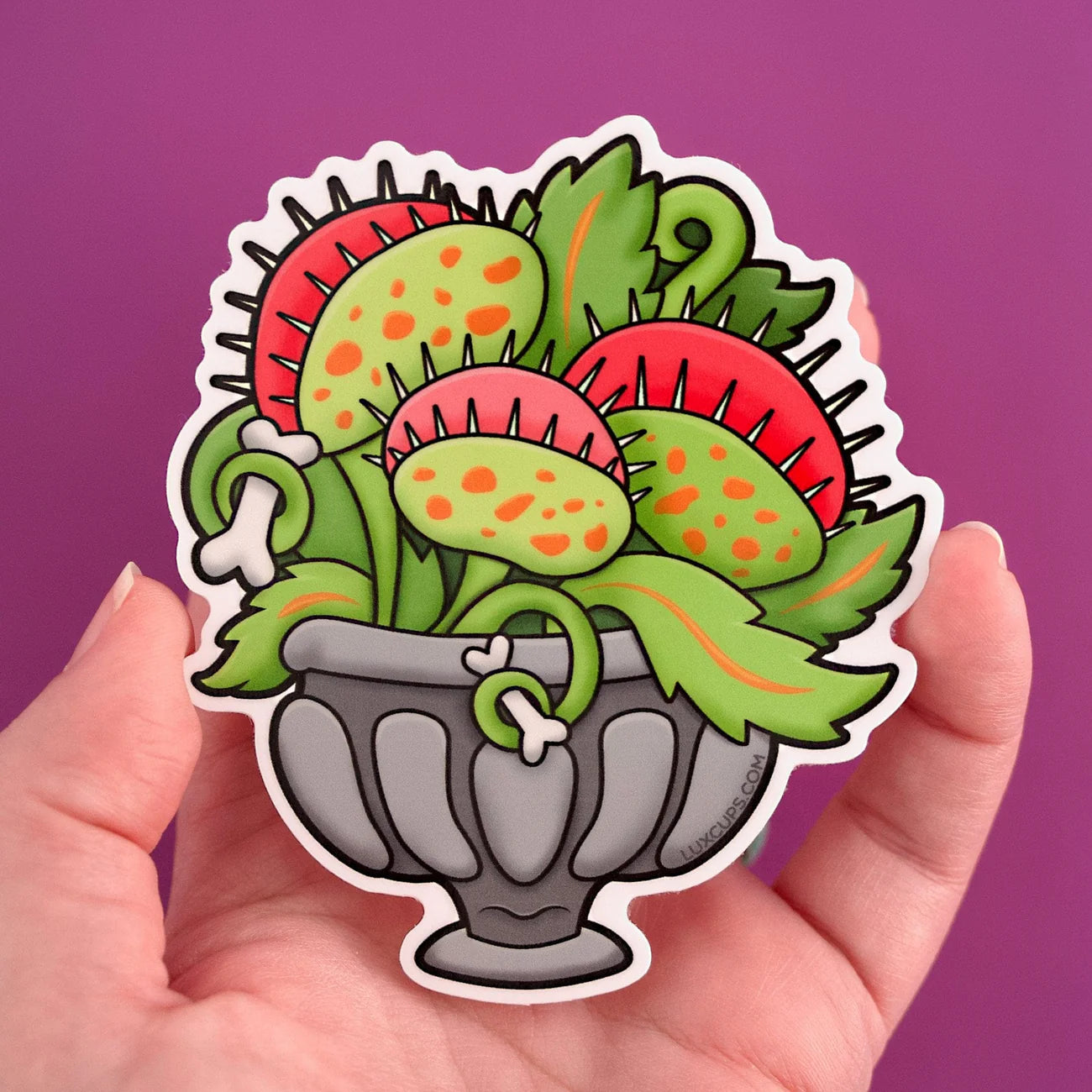 Venus Fly Trap Sticker | Dragon's Lair Comics and Fantasy Houston TX