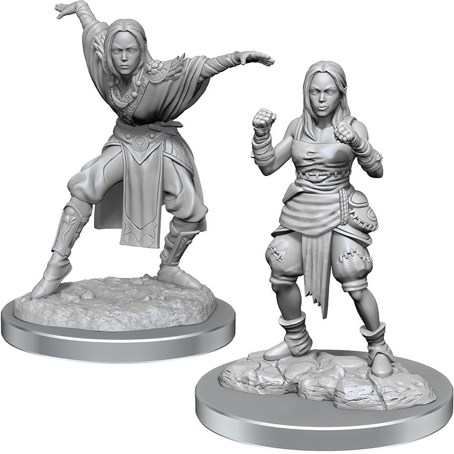 Wizkids Deep Cuts Minis Half-Elf Monk Female | Dragon's Lair Comics and Fantasy Houston TX