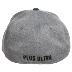 Bioworld My Hero Academia UA Flex Fit Hat | Dragon's Lair Comics and Fantasy Houston TX