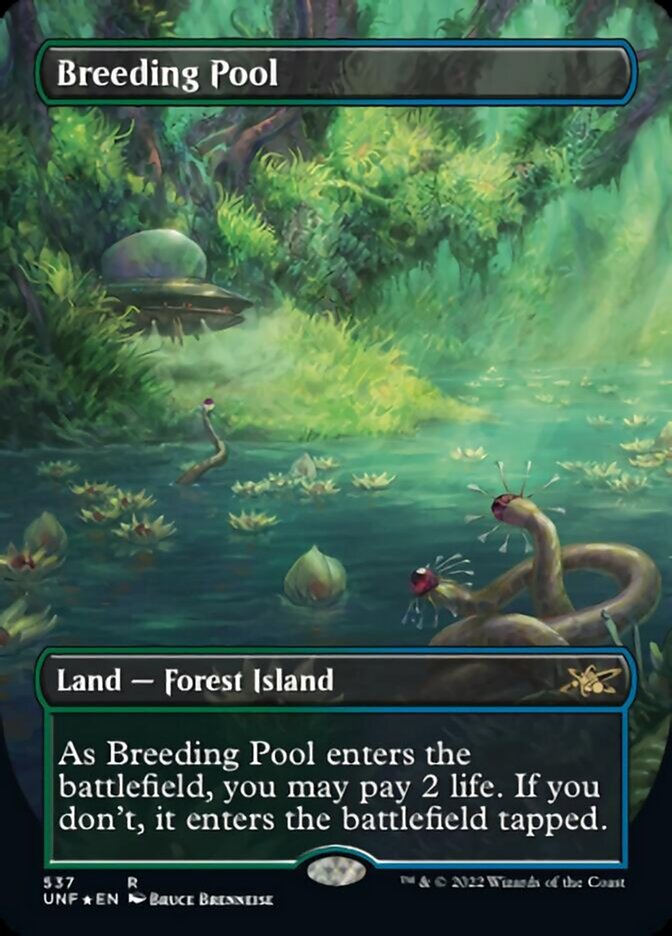 Breeding Pool (Borderless) (Galaxy Foil) [Unfinity] | Dragon's Lair Comics and Fantasy Houston TX