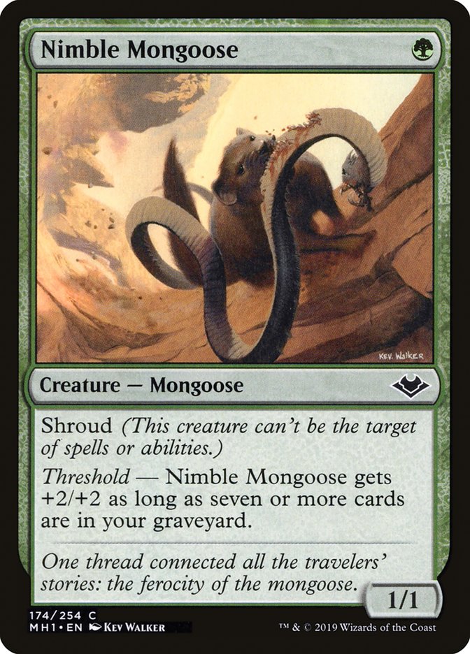 Nimble Mongoose [Modern Horizons] | Dragon's Lair Comics and Fantasy Houston TX