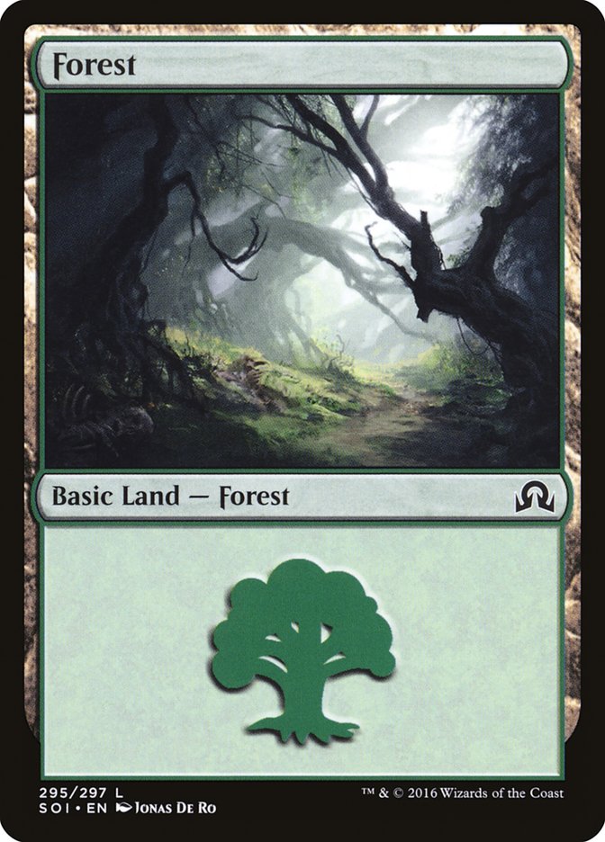 Forest (295) [Shadows over Innistrad] | Dragon's Lair Comics and Fantasy Houston TX