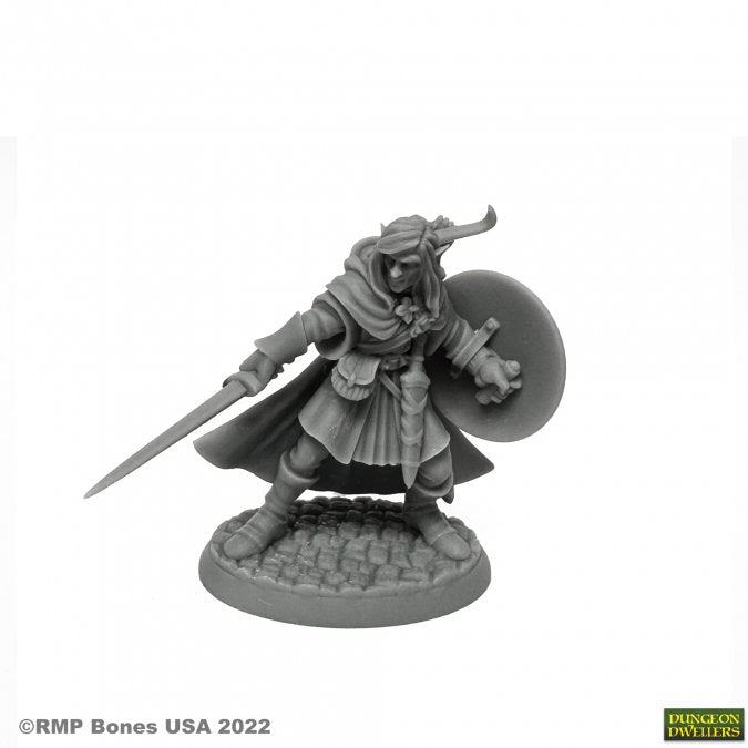 Reaper Bones: Mellonir Windrunner, Elf Warrior | Dragon's Lair Comics and Fantasy Houston TX