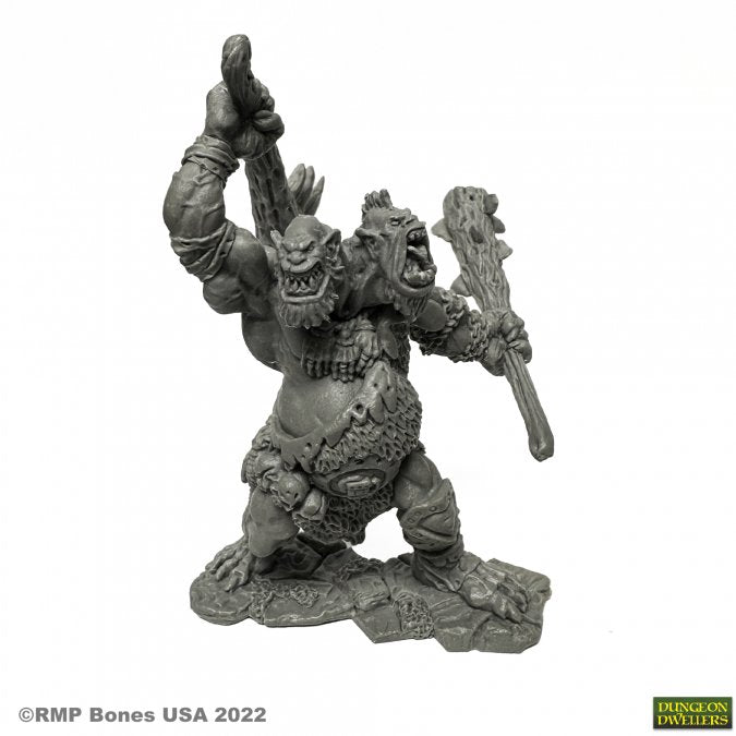 Reaper Bones: Nor'Okk, Ettin | Dragon's Lair Comics and Fantasy Houston TX