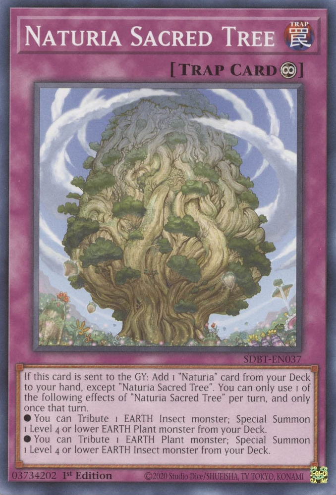 Naturia Sacred Tree [SDBT-EN037] Common | Dragon's Lair Comics and Fantasy Houston TX