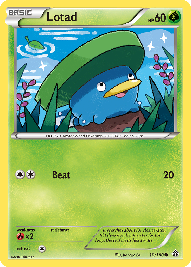 Lotad (10/160) [XY: Primal Clash] | Dragon's Lair Comics and Fantasy Houston TX