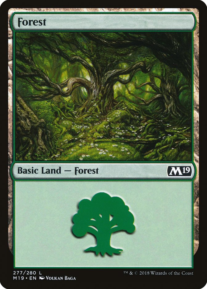 Forest (277) [Core Set 2019] | Dragon's Lair Comics and Fantasy Houston TX