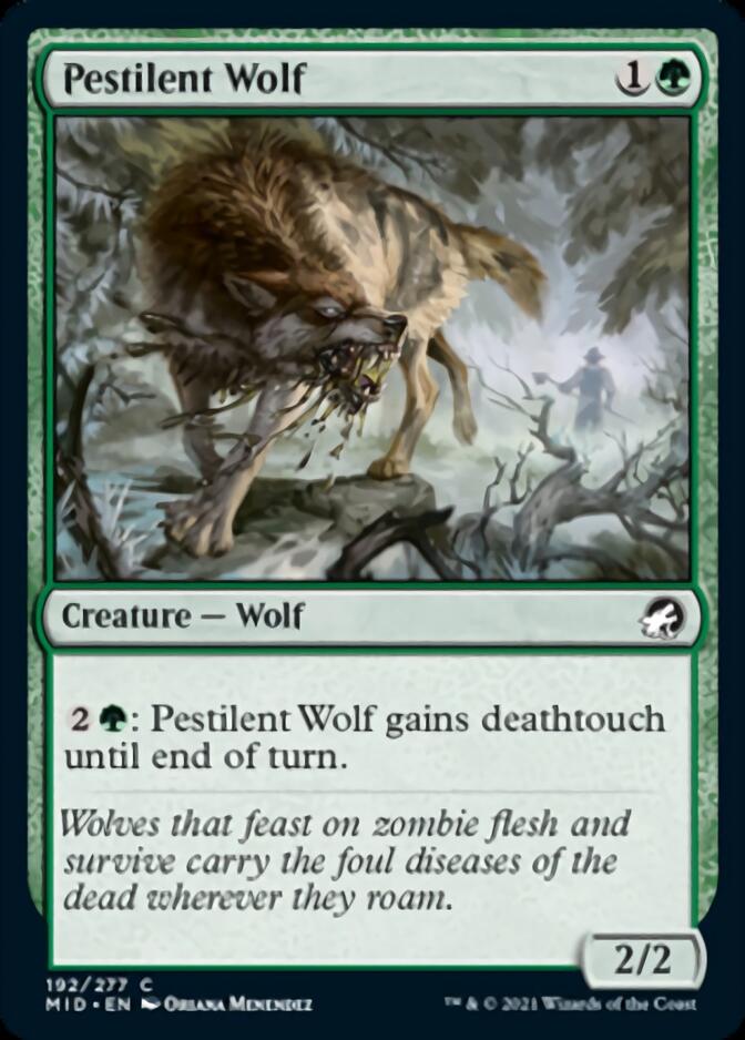 Pestilent Wolf [Innistrad: Midnight Hunt] | Dragon's Lair Comics and Fantasy Houston TX