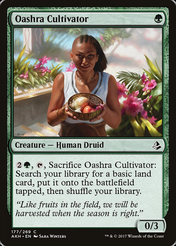 Oashra Cultivator [Amonkhet] | Dragon's Lair Comics and Fantasy Houston TX