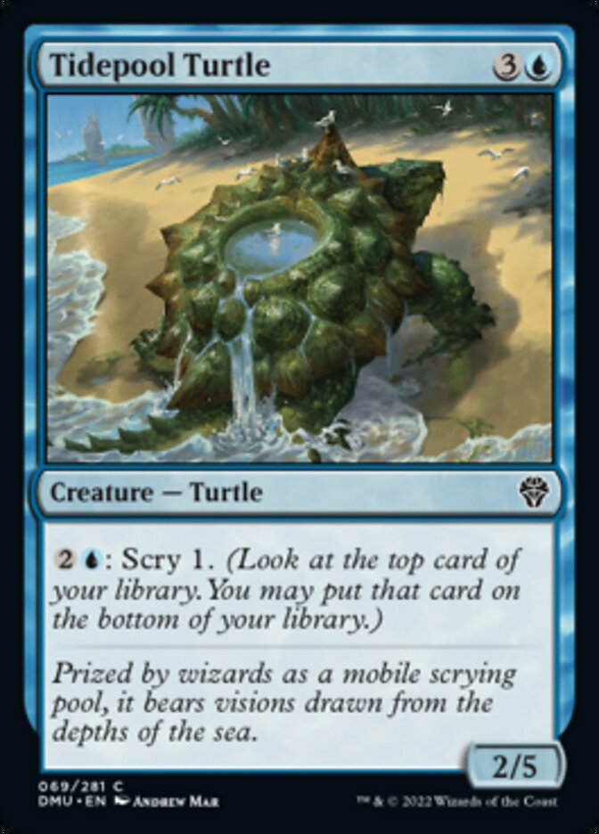 Tidepool Turtle [Dominaria United] | Dragon's Lair Comics and Fantasy Houston TX