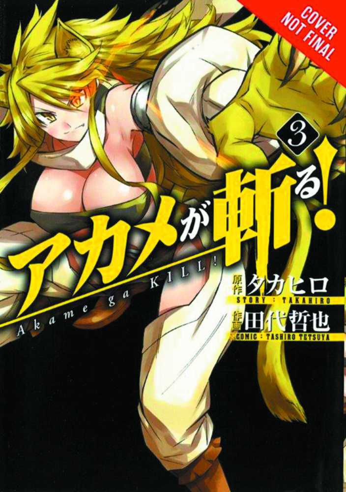 Akame Ga Kill Graphic Novel Volume 03 | Dragon's Lair Comics and Fantasy Houston TX