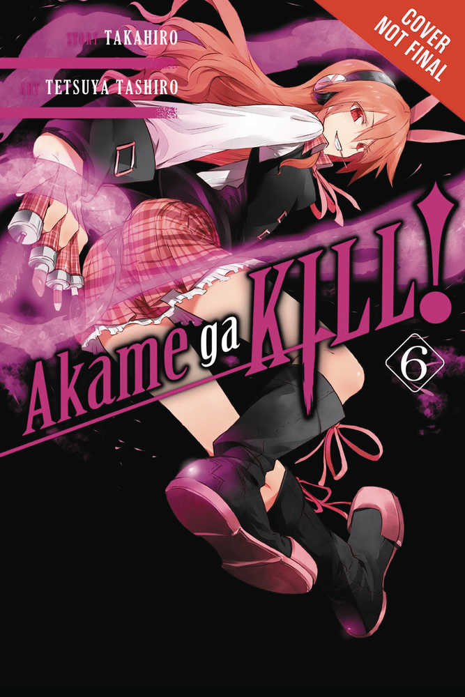 Akame Ga Kill Graphic Novel Volume 06 | Dragon's Lair Comics and Fantasy Houston TX