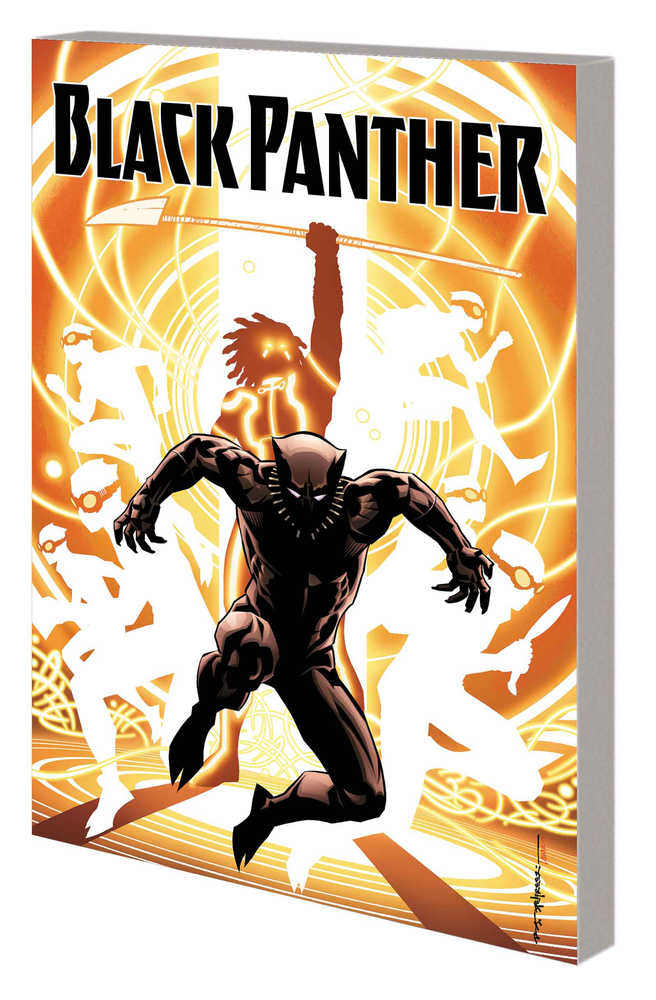 Black Panther TPB Book 02 Nation Under Our Feet | Dragon's Lair Comics and Fantasy Houston TX