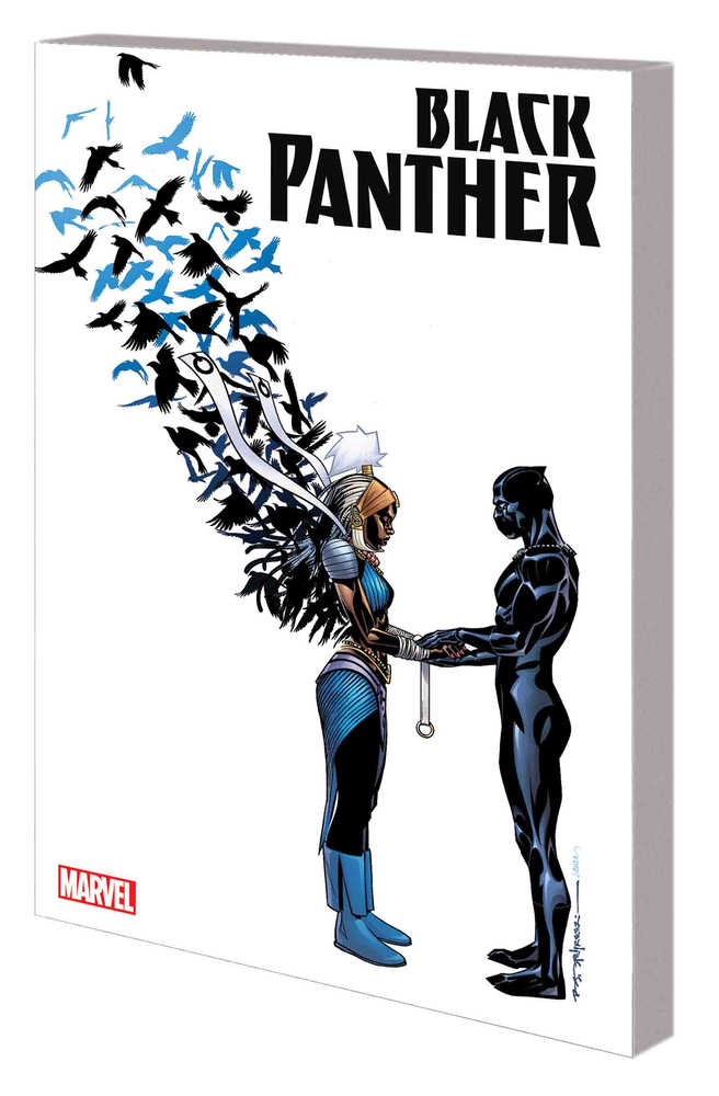 Black Panther TPB Book 03 Nation Under Our Feet | Dragon's Lair Comics and Fantasy Houston TX