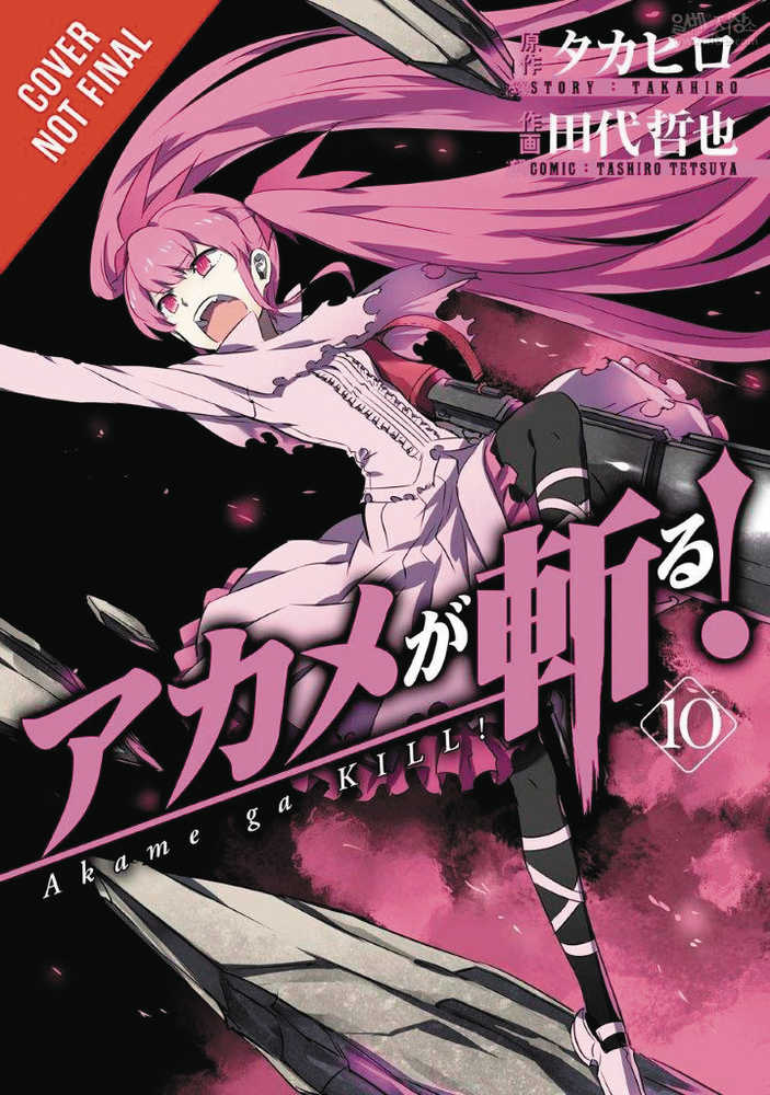 Akame Ga Kill Graphic Novel Volume 10 | Dragon's Lair Comics and Fantasy Houston TX