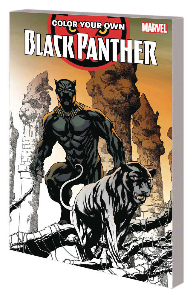 COLOR YOUR OWN BLACK PANTHER TP | Dragon's Lair Comics and Fantasy Houston TX