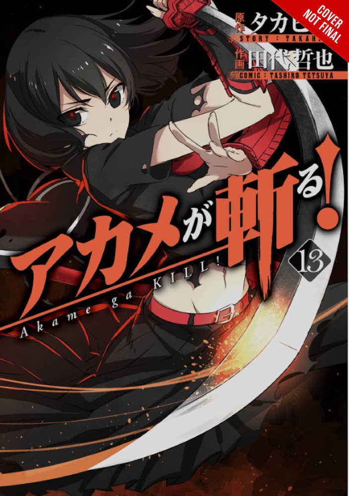 Akame Ga Kill Graphic Novel Volume 13 | Dragon's Lair Comics and Fantasy Houston TX