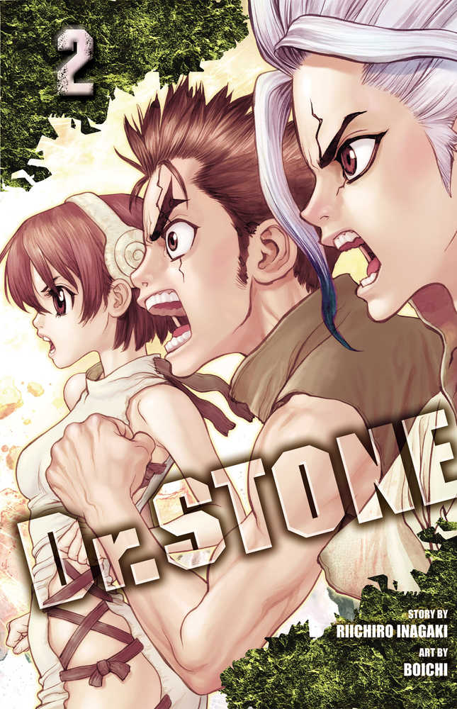 DR STONE GN VOL 2 | Dragon's Lair Comics and Fantasy Houston TX