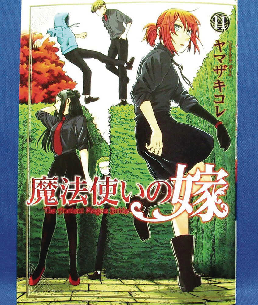 Ancient Magus Bride Graphic Novel Volume 11  | Dragon's Lair Comics and Fantasy Houston TX