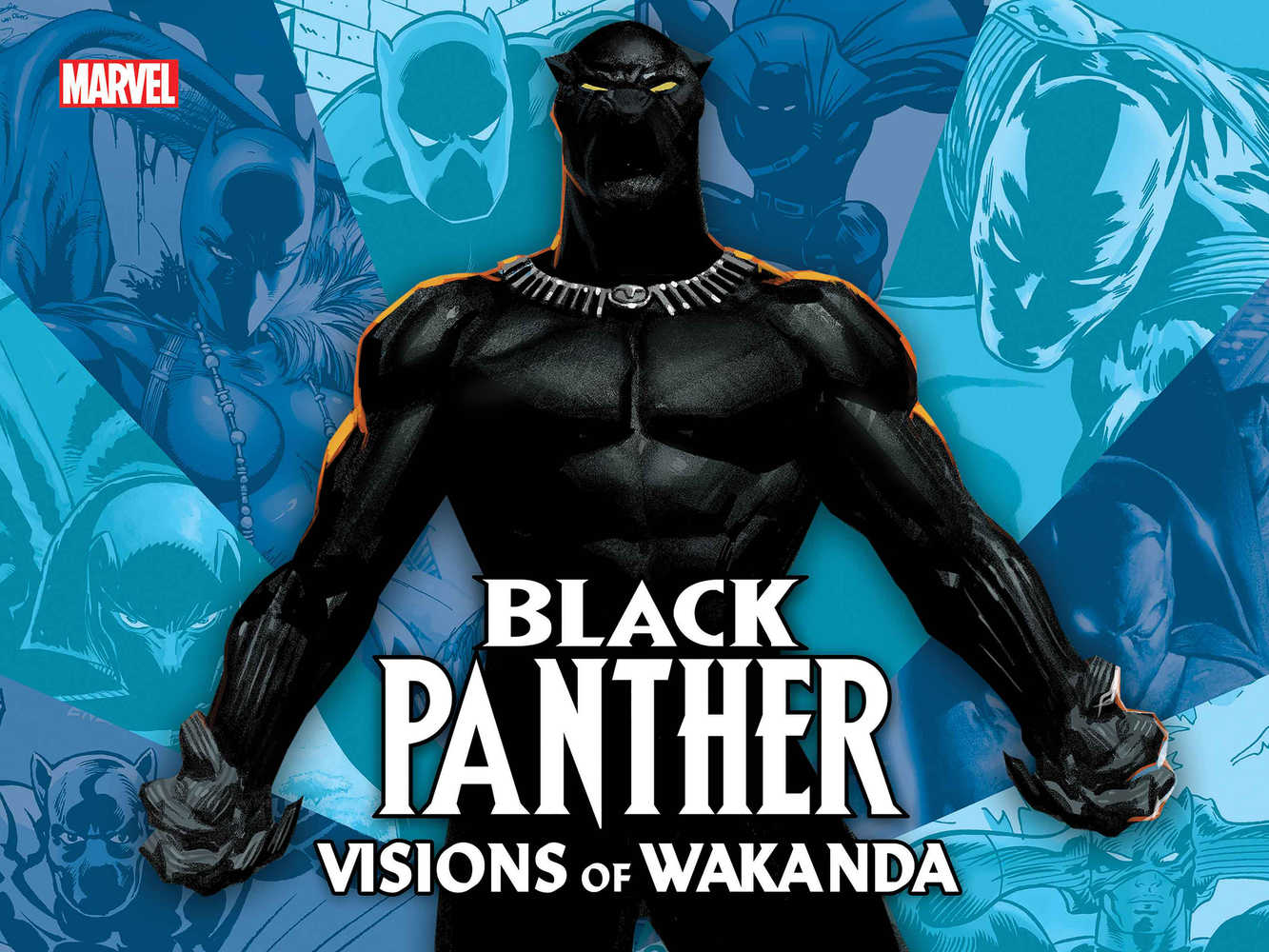 BLACK PANTHER HC VISIONS OF WAKANDA | Dragon's Lair Comics and Fantasy Houston TX