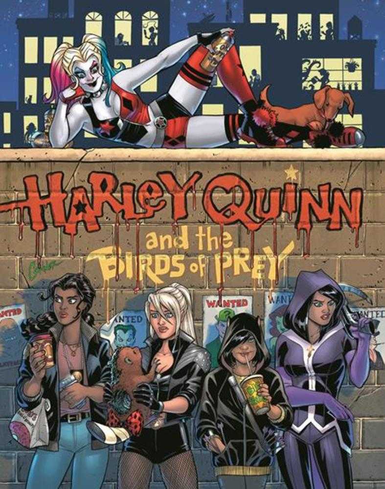 Harley Quinn And The Birds Of Prey The Hunt For Harley Hardcover (Mature) | Dragon's Lair Comics and Fantasy Houston TX