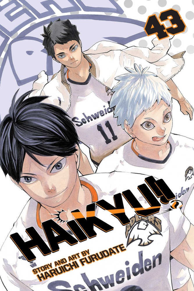 Haikyu Graphic Novel Volume 43 | Dragon's Lair Comics and Fantasy Houston TX