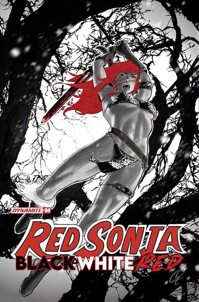 Red Sonja Black White Red #4 Cover B Staggs | Dragon's Lair Comics and Fantasy Houston TX