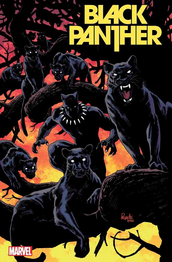 Black Panther #8 Paquette Variant | Dragon's Lair Comics and Fantasy Houston TX