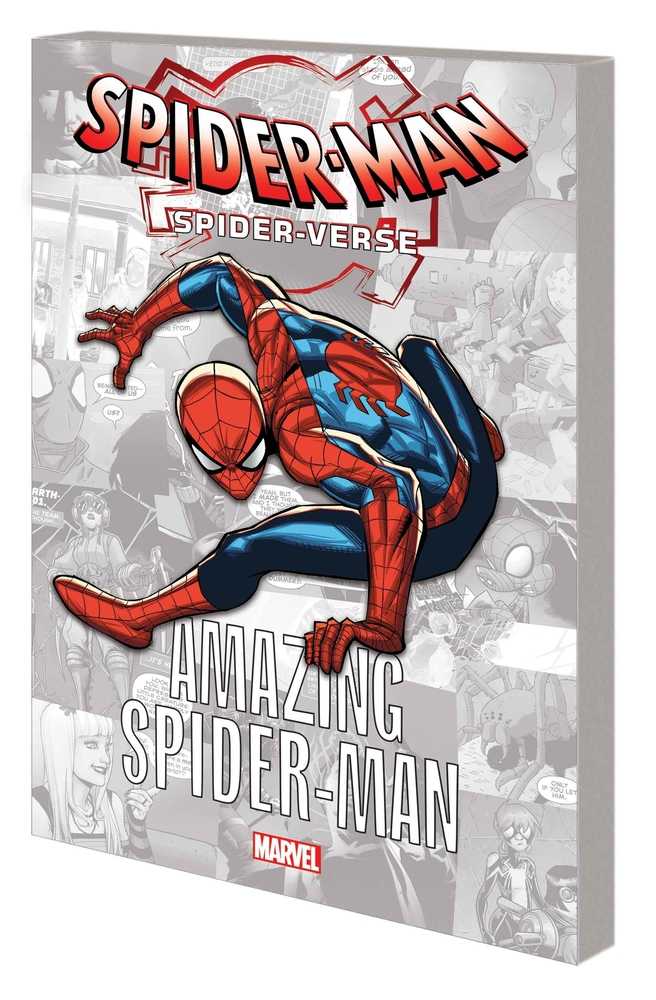 Spider-Verse Graphic Novel TPB Amazing Spider-Man | Dragon's Lair Comics and Fantasy Houston TX