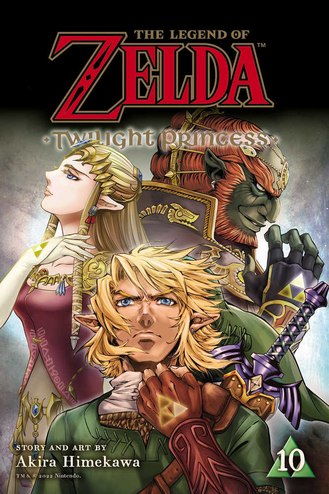 Legend Of Zelda Twilight Princess Graphic Novel Volume 10 | Dragon's Lair Comics and Fantasy Houston TX