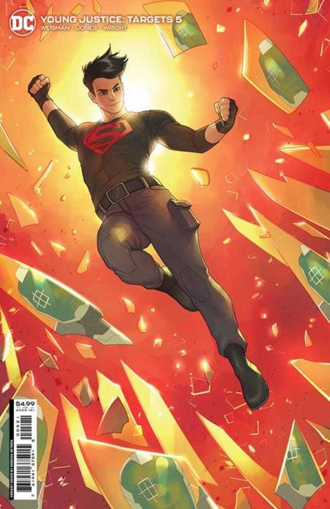 Young Justice Targets #5 (Of 6) Cover B Meghan Hetrick Card Stock Variant | Dragon's Lair Comics and Fantasy Houston TX