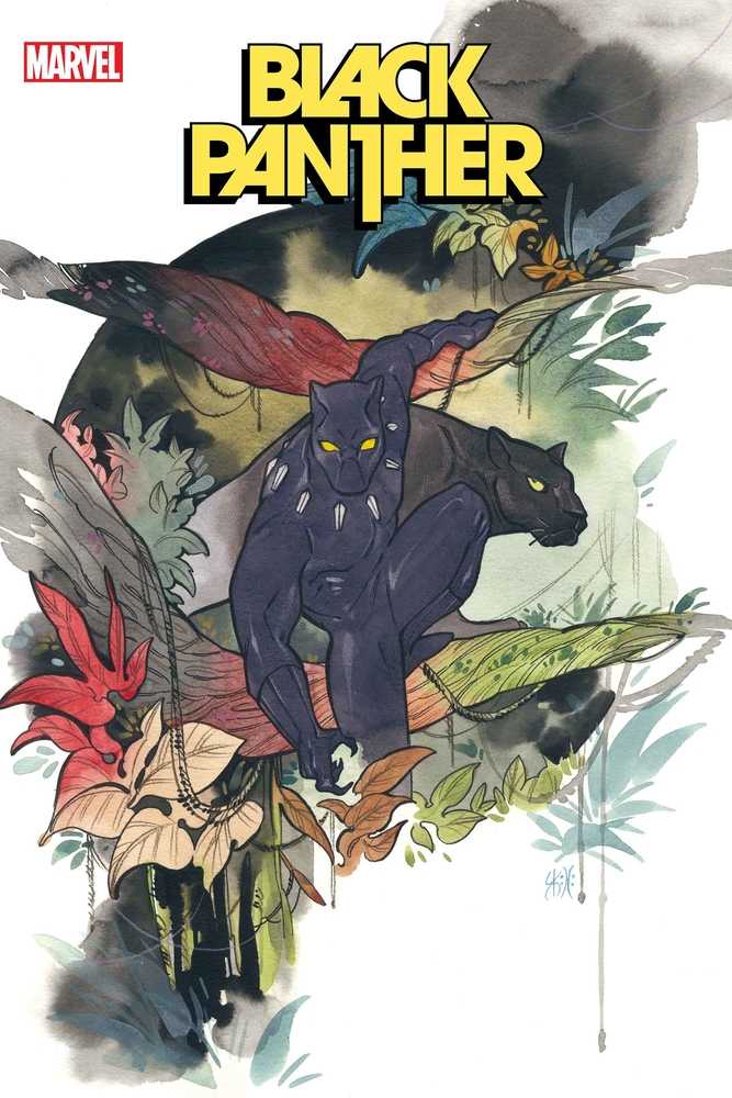 Black Panther #12 Momoko Variant | Dragon's Lair Comics and Fantasy Houston TX