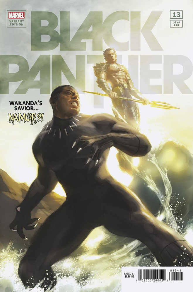 Black Panther #13 Mercado Spoiler Variant | Dragon's Lair Comics and Fantasy Houston TX