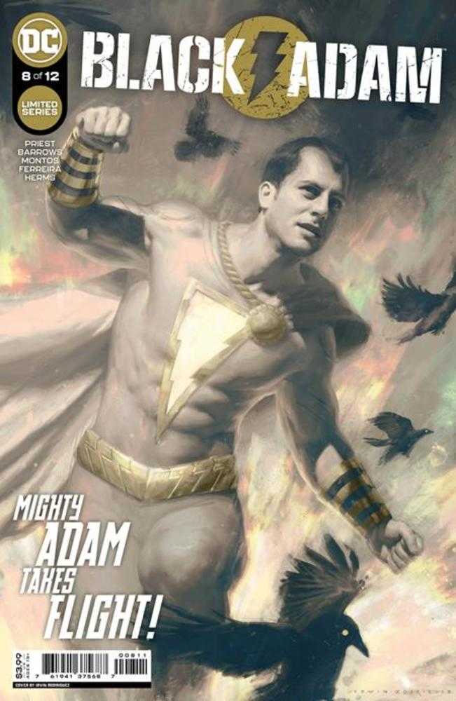 Black Adam #8 (Of 12) Cover A Irvin Rodriguez | Dragon's Lair Comics and Fantasy Houston TX