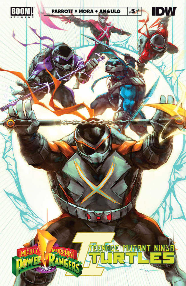 Mmpr Teenage Mutant Ninja Turtles II #5 (Of 5) Cover D Teenage Mutant Ninja Turtles Variant Tao | Dragon's Lair Comics and Fantasy Houston TX