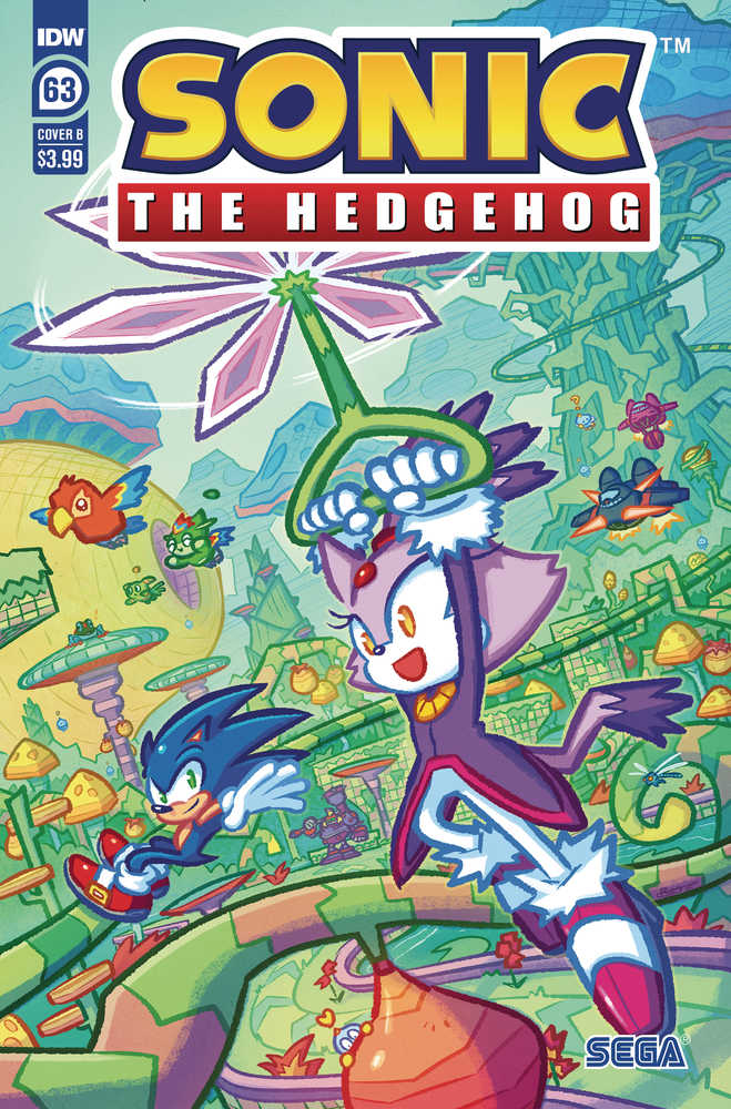 Sonic The Hedgehog #63 Cover B Graham | Dragon's Lair Comics and Fantasy Houston TX