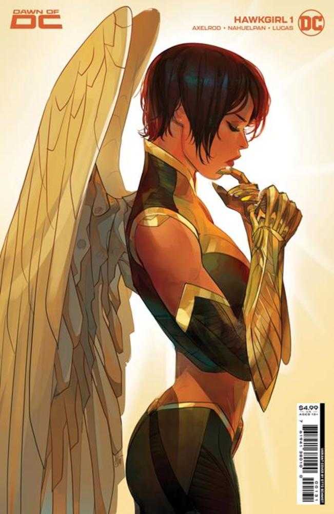 Hawkgirl #1 (Of 6) Cover C Otto Schmidt Card Stock Variant | Dragon's Lair Comics and Fantasy Houston TX