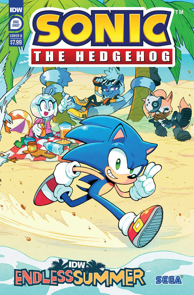 Idw Endless Summer--Sonic The Hedgehog Variant B (Lawrence Connected Cover) | Dragon's Lair Comics and Fantasy Houston TX