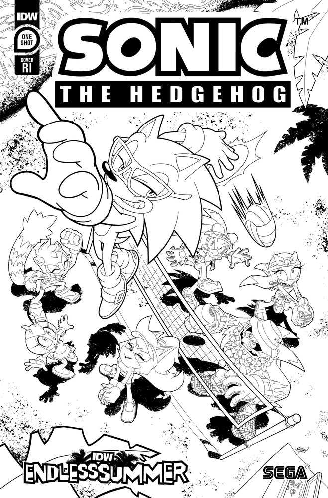 Idw Endless Summer--Sonic The Hedgehog Variant Ri (10) (Coloring Book Variant) | Dragon's Lair Comics and Fantasy Houston TX