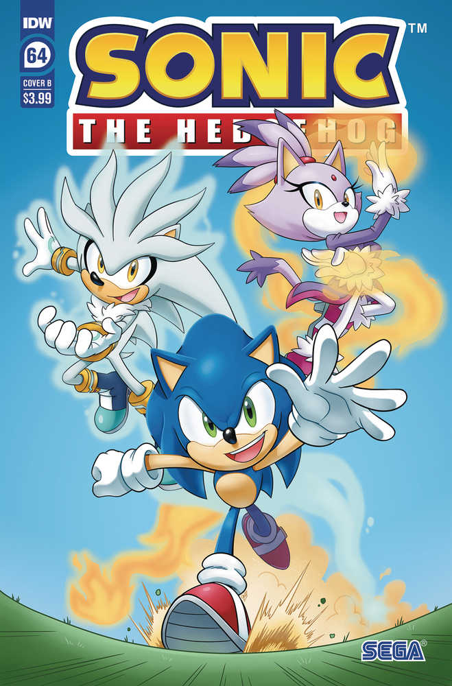 Sonic The Hedgehog #64 Cover B Hernandez | Dragon's Lair Comics and Fantasy Houston TX