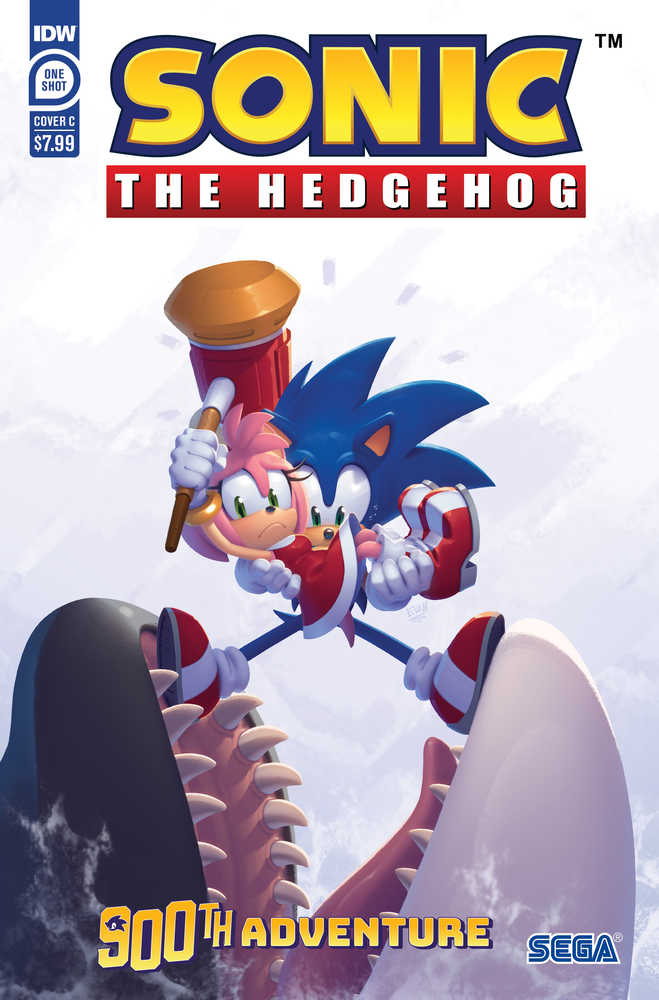 Sonic The Hedgehogs 900th Adventure Cover C Stanley | Dragon's Lair Comics and Fantasy Houston TX